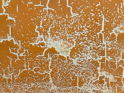 Saline deposits at the Bonanza salt works near Sanlúcar de Barrameda. Aerial view. Drone shot.