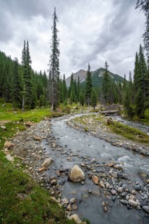 Green mountain valley with forest and mountain stream, Chong Kyzyl Suu Valley, Terskey Ala Too,