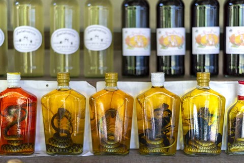 Choum, rice liquor, rice wine with pickled scorpions and Snakes for sale, Laos, Asia