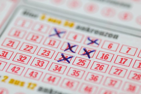 Game ticket, gambling, betting slip, betting slip, Toto, Lotto, EURO JACKPOT, 5 out of 50