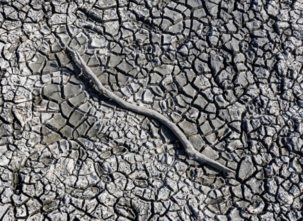 The bottom of a dried-up fish pond in Reckahn in Brandenburg looks like parched desert soil. The