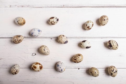 Raw quail eggs on a white wooden background, top view