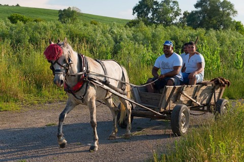 Three men travelling in a horse-drawn carriage along a path next to a field, Golyamo Novo,