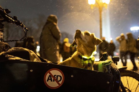 Recordings as part of the demonstration Auf die Strasse! Against the AfD's Nazi deportation plans