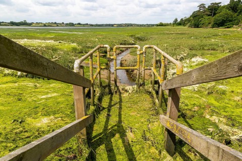 Drainage sluice gate River Deben at very low tide, Sutton, Suffolk, England, UK