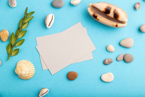 Composition with gray paper business cards, seashells, green boxwood. mockup on blue pastel