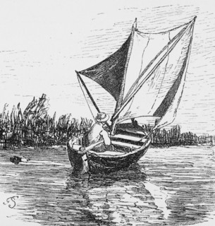 Sailing boat in the Blockland near Bremen, river, reed bank, leisure sport, man, tiller, calm,