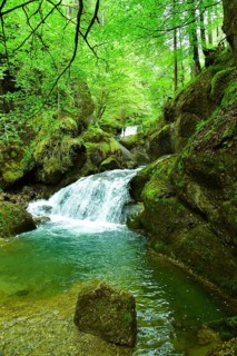 Waterfall at the Steigbach in the Steigbachtobel near Immenstadt in Oberallgäu, Bavaria, Germany,