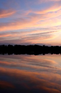 Upper Lusatian heath and pond landscape, evening mood, June, Saxony, Germany, Europe