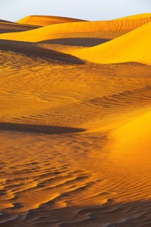 Wind-sculpted curved sand dunes in the Rub al Khali desert, Dhofar province, Arabian Peninsula,