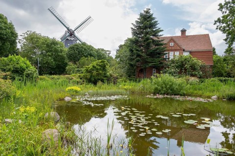 Pond with water lilies, historic windmill, park at the mill, Wyk, Föhr, North Sea island, North