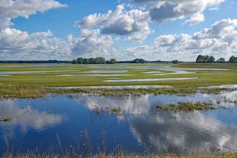 Reflecting water and wide, green meadows under a cloudy blue sky, Elbe, Wendland, Lower Saxony,