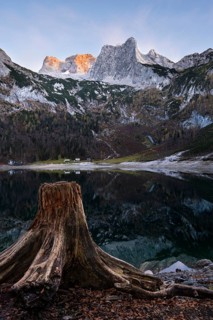 The Hintere Gosausee lake in autumn with a view of the Dachstein mountain range. A tree stump in