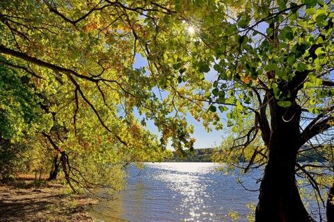 Deciduous trees with autumn leaves on the lake shore, blue sky, sun star, Möhne dam, North