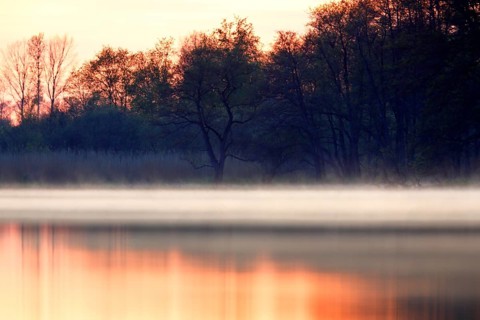 Warm colours at sunrise over a foggy, quiet landscape with trees, foggy atmosphere over the water