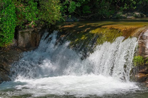 Small waterfall with green moss on the stones surrounded by lush trees on a sunny day, Garganta