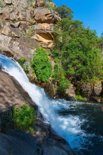 A small waterfall flowing over rocks, surrounded by green plants in a sunny forest landscape,