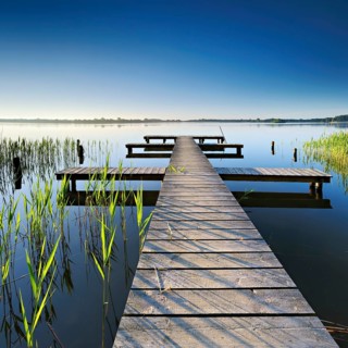 Morning atmosphere at the Schaalsee, symmetrical footbridge in the reeds in the first light,