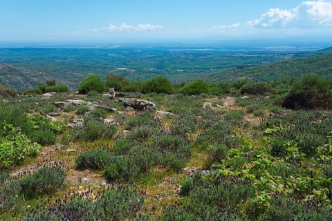A sweeping view over a mountainous landscape with green vegetation and clear skies, crested