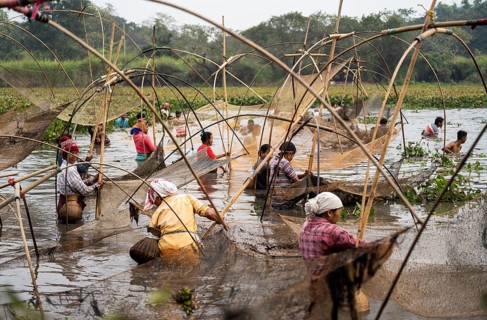 Villagers participate in a community fishing event on the occasion of the Bhogali Bihu festival at