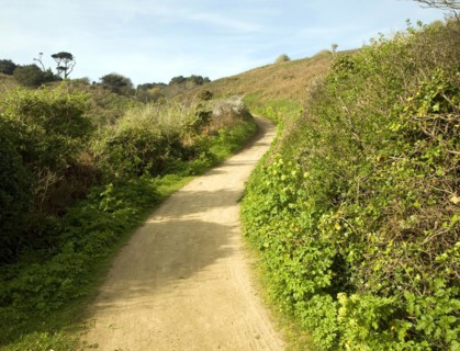 Footpath leading uphill into the centre, Island of Herm, Channel Islands, Great Britain