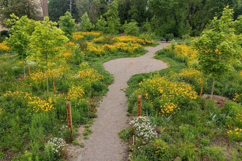 Detroit, Michigan, Residents formed a nonprofit organization called 'Arboretum Detroit' to preserve