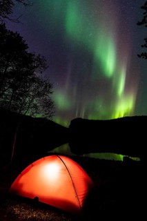 Northern Lights (Aurora borealis) reflected in a lake, Rago National Park, Nordland, Norway,