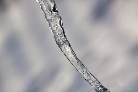 Single icicle, macro, unusually cold winter 2010, symbol photo winter weather, sub-zero