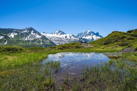 Small mountain lake, mountain panorama with glaciated peaks, Aiguille Verte and Glacier du Tour,