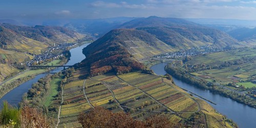 Moselle bend near Bremm in autumn, Rhineland-Palatinate, Germany, Europe