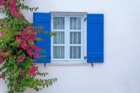 Window with blue shutters and bougainvillea or triplet flower (bougainvillea), Paros, Klyklades,