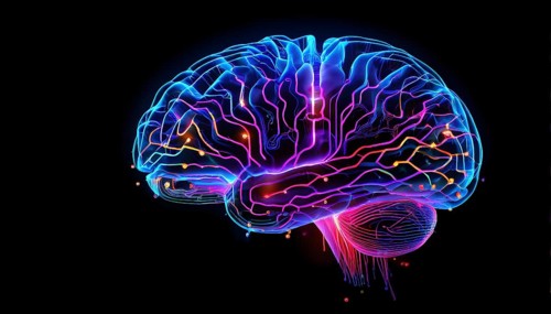 Abstract digital brain made of interconnected lines and glowing circuits in neon colors,