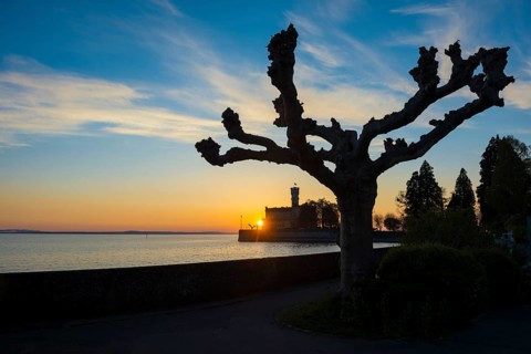 Montfort Castle, sunset, Langenargen, Upper Swabia, Lake Constance, Baden-Württemberg, Germany,