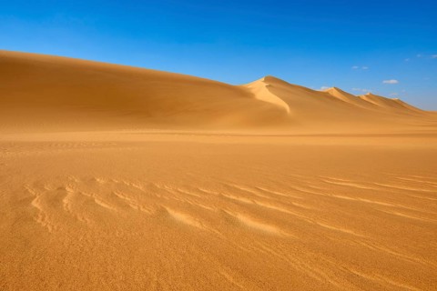 Endless sand dunes under a clear blue sky with few clouds, Matruh, Great Sand Sea, Libyan Desert,