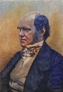 Charles Darwin, 1809?1882, 45 years old. British naturalist. After a photograph (1854?) by Maull
