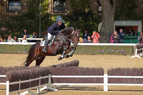 Warendorf State Stud, stallion parade, jumping quadrille