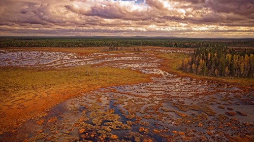 Moor, autumn, intense colouring, impressive cloud formation, drone shot, with horizon, Lapland,