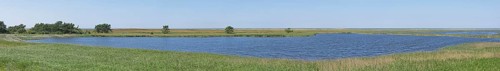 Panorama, Photomerge, Libbertsee, reed grass, trees, landscape, circular hiking trail, nature