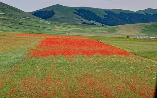 Mountain landscape on the edge of the Pian Grande di Castelluccio di Norcia plateau in the Monti