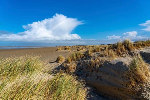 Dune landscape, sand dunes, dune grass in the west of Borkum, island, East Frisia, winter, season,