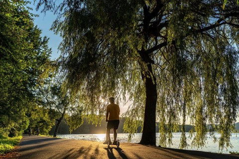 Lake Baldeney, around 14 kilometres around the Ruhr reservoir, summer evening on the eastern shore,