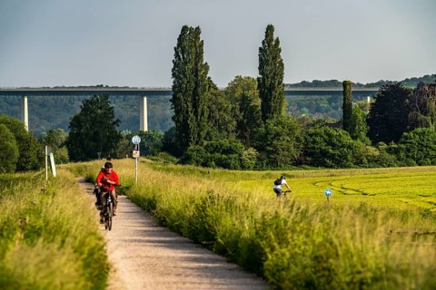 Mendener Ruhraue, cycle path, footpath, view to the east, towards Mintarder Ruhrtalbrücke, Mülheim
