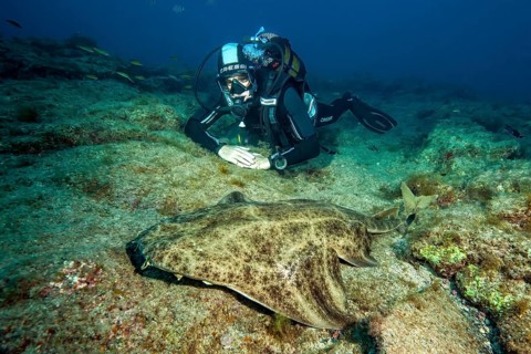Diver lying on rocky seabed, Atlantic Ocean, East Atlantic Ocean, Fuerteventura, Canary Islands,