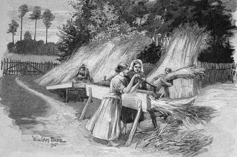 The cutting of shields for processing, in the Havel area in Germany, in 1880, Historical, digital
