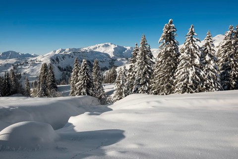 Snow-covered mountain landscape, Damüls, Bregenzerwald, Vorarlberg, Austria, Europe