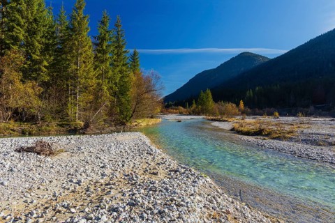Isar valley nature conservancy area. The wild Isar river flows through its gravel bed past