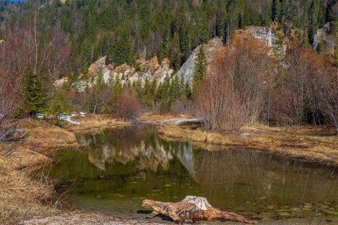 Isar valley nature conservancy area. The wild Isar river flows through its gravel bed past