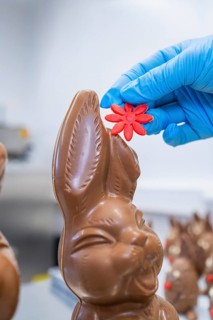 A hand with a blue glove decorates a chocolate bunny with a red flower, Easter baking and chocolate