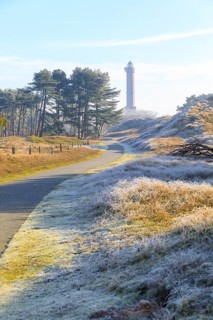 Path through the dune landscape with hoarfrost and fog, view to the lighthouse of Norderney, Lower