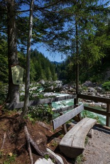 Mountain stream, Triftsteig along the Saalach near Lofer, Saalachtal, Pinzgau, Salzburg province,